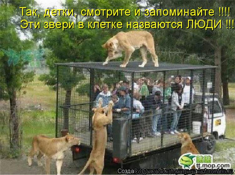 Котоматрица: Так, детки, смотрите и запоминайте !!!! Эти звери в клетке назваются ЛЮДИ !!!