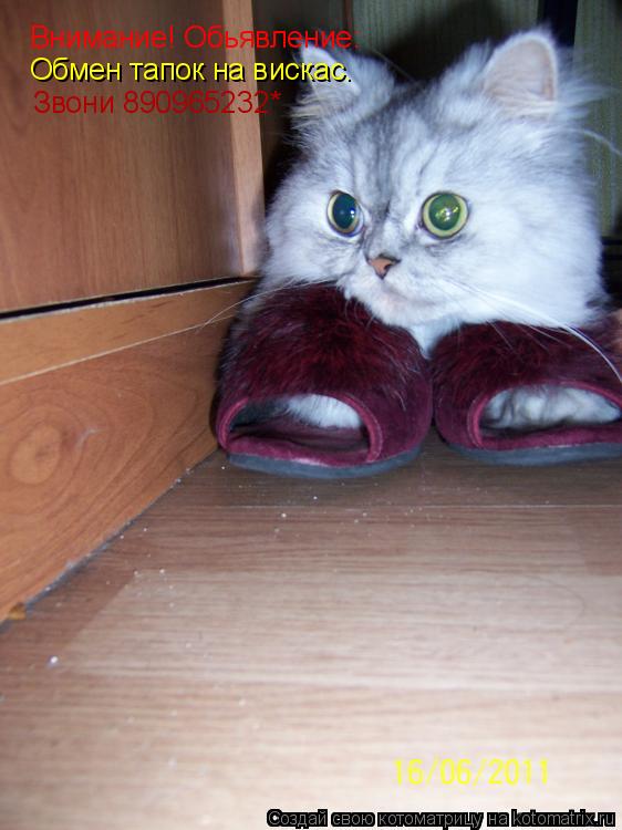 Котоматрица: Внимание! Обьявление: Обмен тапок на вискас. Звони 890965232*