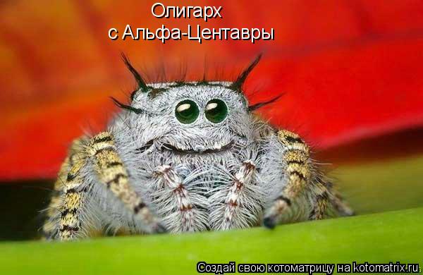 Котоматрица: Олигарх  с Альфа-Центавры