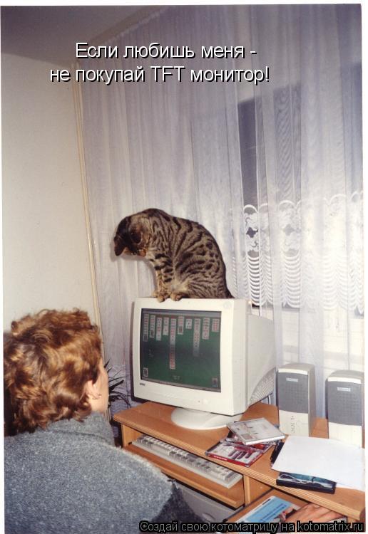Котоматрица: Если любишь меня - не покупай TFT монитор!