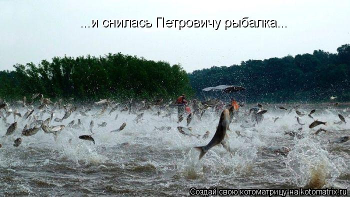 Котоматрица: ...и снилась Петровичу рыбалка...