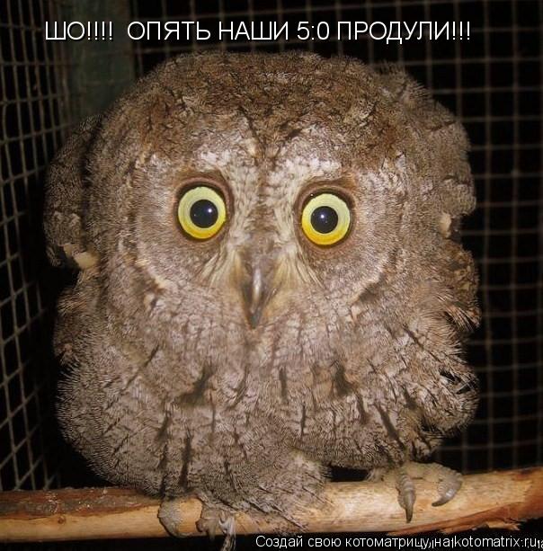 Котоматрица: ШО!!!!  ОПЯТЬ НАШИ 5:0 ПРОДУЛИ!!!