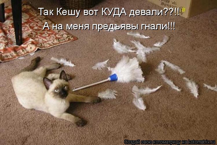 Так Кешу вот КУДА девали??!! А на меня предъявы гнали!!!... Котоматрица: Так Кешу вот КУДА девали??!! А на меня предъявы гнали!!!