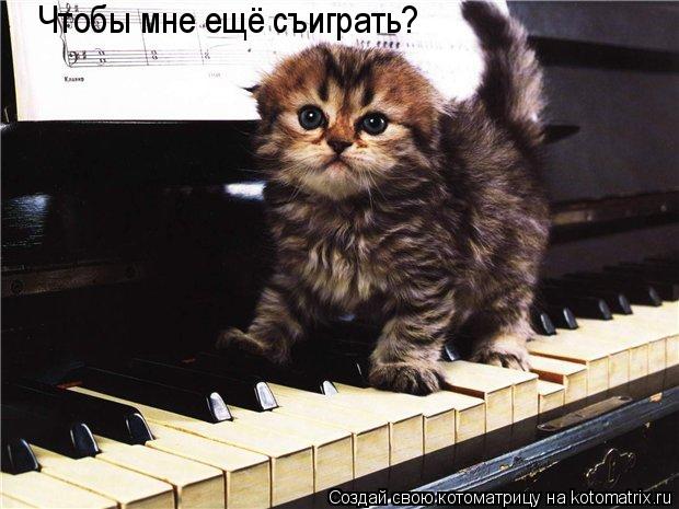 Котоматрица: Чтобы мне ещё съиграть?