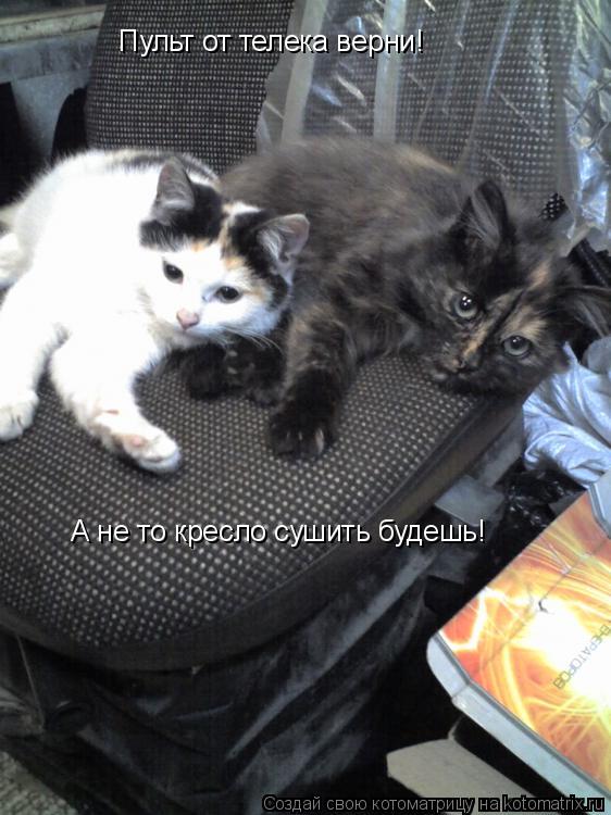 Котоматрица: Пульт от телека верни! А не то кресло сушить будешь!