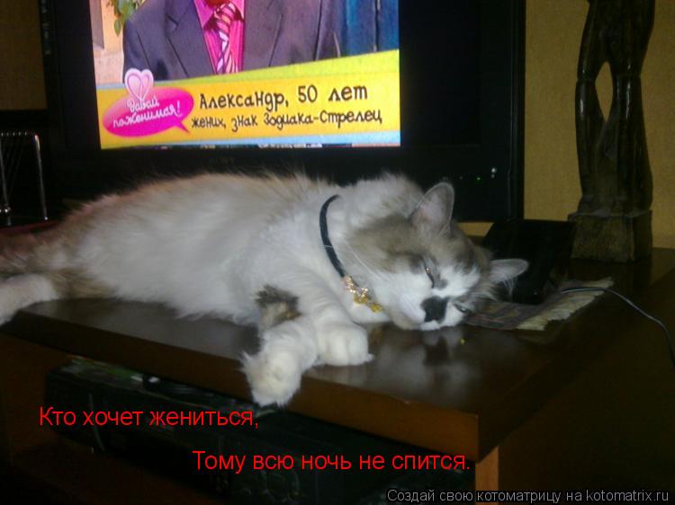 Котоматрица: Кто хочет жениться, Тому всю ночь не спится.