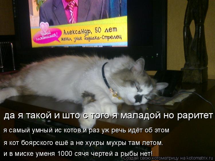 Котоматрица: да я такой и што с того я маладой но раритет я самый умный ис котов и раз уж речь идёт об этом я кот боярского ешё а не хухры мухры там летом. и 