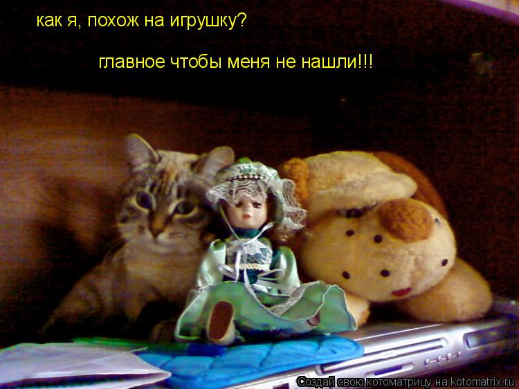 Котоматрица: как я, похож на игрушку? главное чтобы меня не нашли!!!