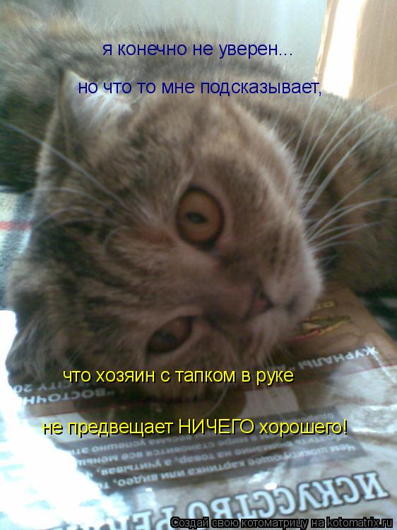 Котоматрица: я конечно не уверен... но что то мне подсказывает, что хозяин с тапком в руке не предвещает НИЧЕГО хорошего!