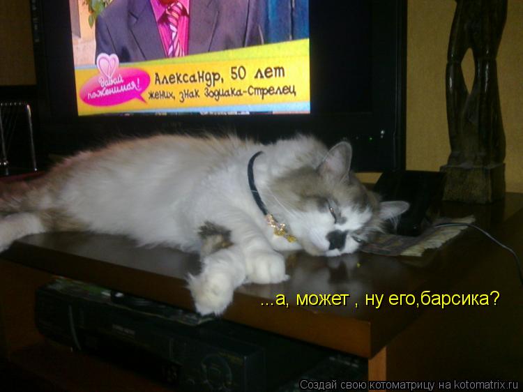 Котоматрица: ...а, может , ну его,барсика?