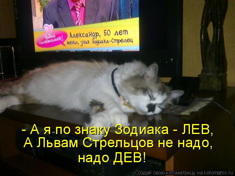 Котоматрица: - А я по знаку Зодиака - ЛЕВ, А Львам Стрельцов не надо,  надо ДЕВ!