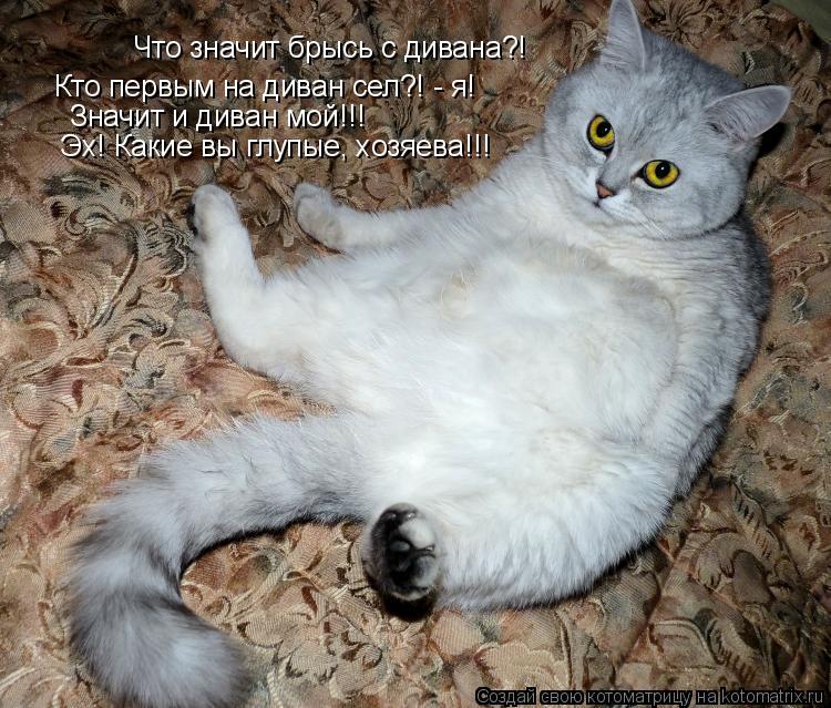Котоматрица: Что значит брысь с дивана?! Кто первым на диван сел?! - я! Значит и диван мой!!! Эх! Какие вы глупые, хозяева!!!