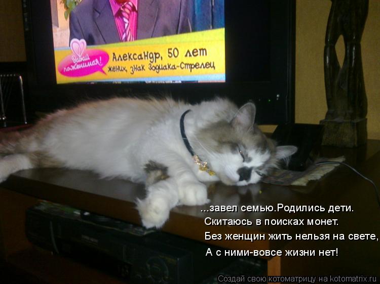 Котоматрица: ...завел семью.Родились дети. Скитаюсь в поисках монет. Без женщин жить нельзя на свете, А с ними-вовсе жизни нет!