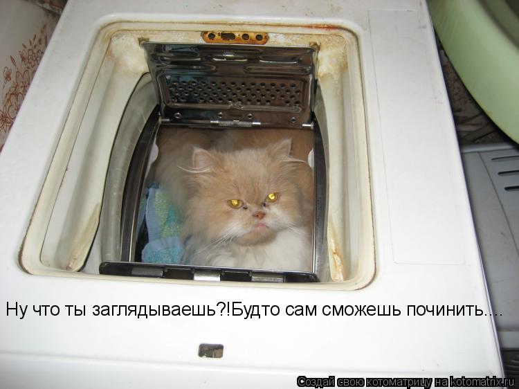Котоматрица: Ну что ты заглядываешь?!Будто сам сможешь починить....
