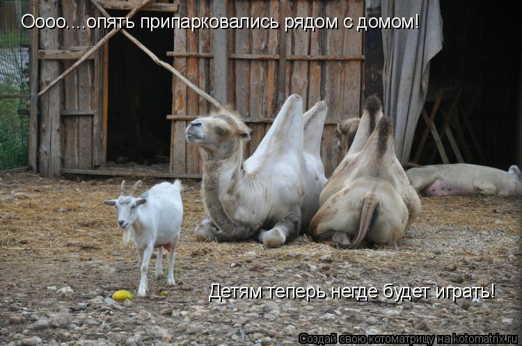 Котоматрица: Оооо....опять припарковались рядом с домом! Детям теперь негде будет играть!