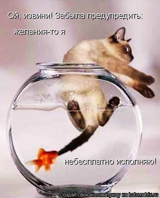Котоматрица: Ой, извини! Забыла предупредить: желания-то я  небесплатно исполняю!