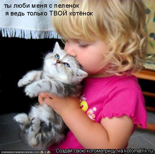 Котоматрица: ты люби меня с пеленок я ведь только ТВОЙ котёнок