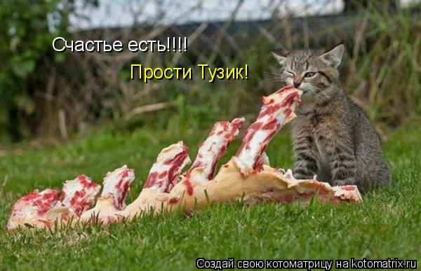 Котоматрица: Счастье есть!!!!  Прости Тузик!