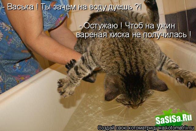 Котоматрица: - Васька ! Ты зачем на воду дуешь ?! - Остужаю ! Чтоб на ужин вареная киска не получилась !