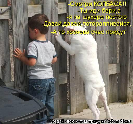 Котоматрица: -Смотри,КОЛБАСА!! -Ты иди бери,а  -я на шухере постою -Давай,давай,поторапливайся, -А то хозяева счас придут