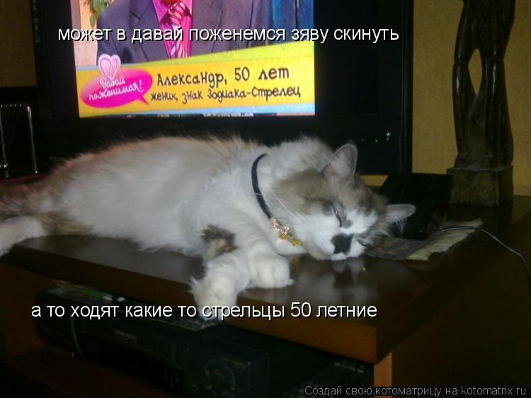 Котоматрица: может в давай поженемся зяву скинуть а то ходят какие то стрельцы 50 летние
