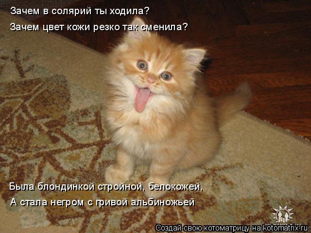 Котоматрица: Зачем в солярий ты ходила? Зачем цвет кожи резко так сменила? Была блондинкой стройной, белокожей, А стала негром с гривой альбиножьей