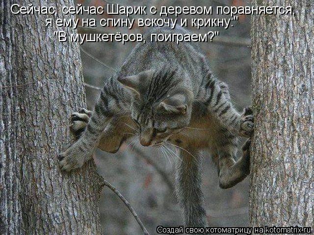 Котоматрица: Сейчас, сейчас Шарик с деревом поравняется, я ему на спину вскочу и крикну:" "В мушкетёров, поиграем?"
