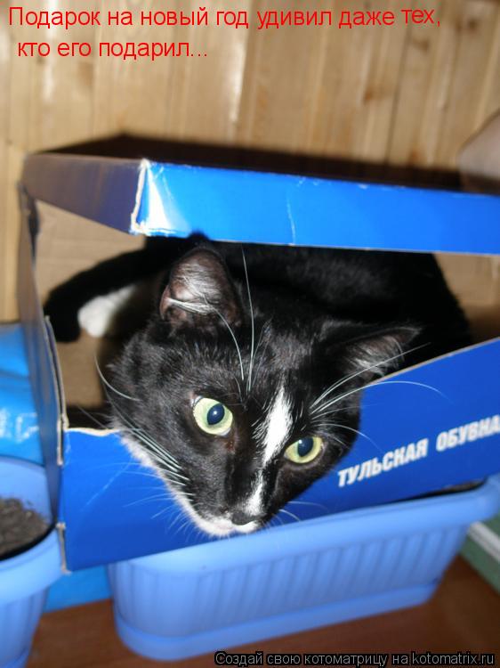 Котоматрица: Подарок на новый год удивил даже тех, кто его подарил...