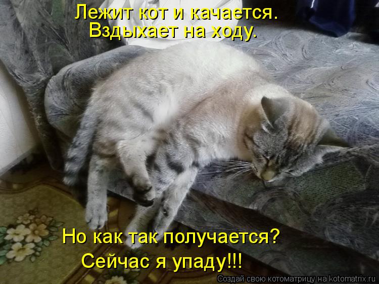 Котоматрица: Лежит кот и качается. Вздыхает на ходу. Но как так получается? Сейчас я упаду!!!