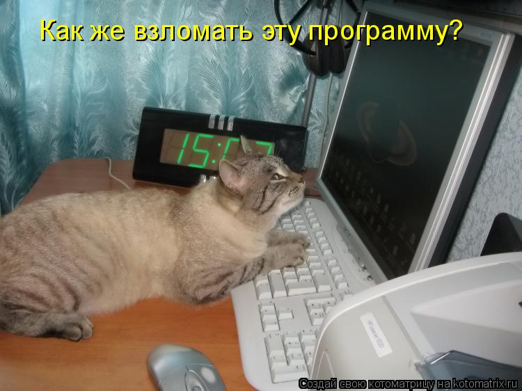 Котоматрица: Как же взломать эту программу?