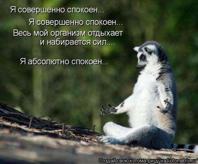 Котоматрица: Я совершенно спокоен... Я совершенно спокоен... Весь мой организм отдыхает и набирается сил.... Я абсолютно спокоен...