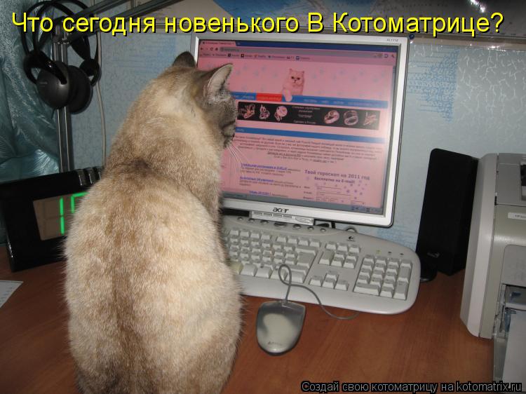 Котоматрица: Что сегодня новенького В Котоматрице?