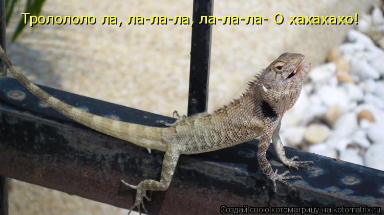 Котоматрица: Tрoлололо ла, ла-ла-ла, ла-ла-ла- О хахахахо!