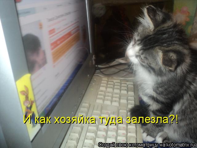 Котоматрица: И как хозяйка туда залезла?!