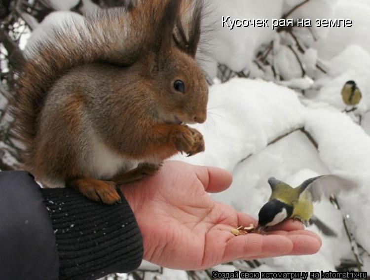 Котоматрица: Кусочек рая на земле