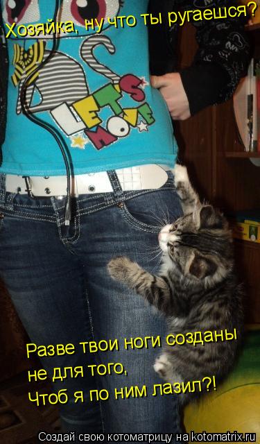 Котоматрица: Хозяйка, ну что ты ругаешся? Разве твои ноги созданы не для того,  Чтоб я по ним лазил?!