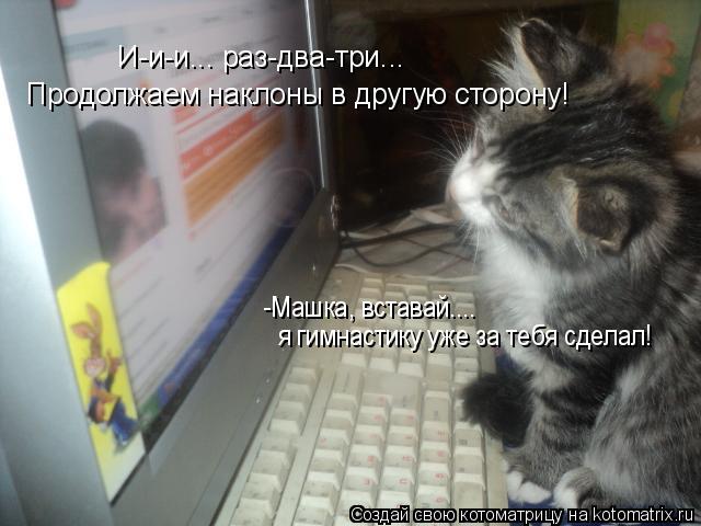 Котоматрица: И-и-и... раз-два-три... Продолжаем наклоны в другую сторону! я гимнастику уже за тебя сделал! -Машка, вставай....