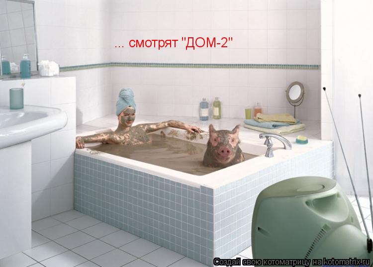 Котоматрица: ... смотрят "ДОМ-2"