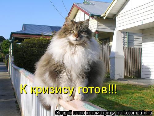Котоматрица: К кризису готов!!!