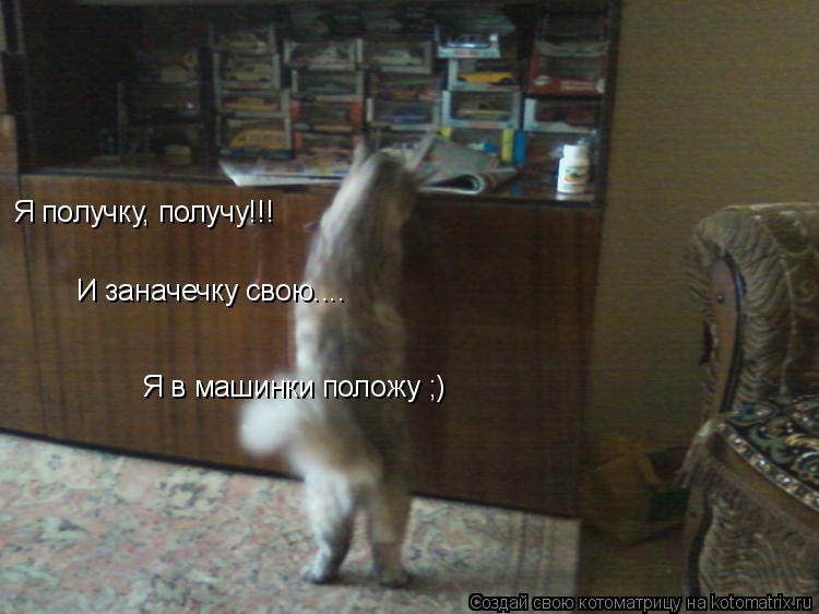 Котоматрица: Я получку, получу!!! И заначечку свою.... Я в машинки положу ;)