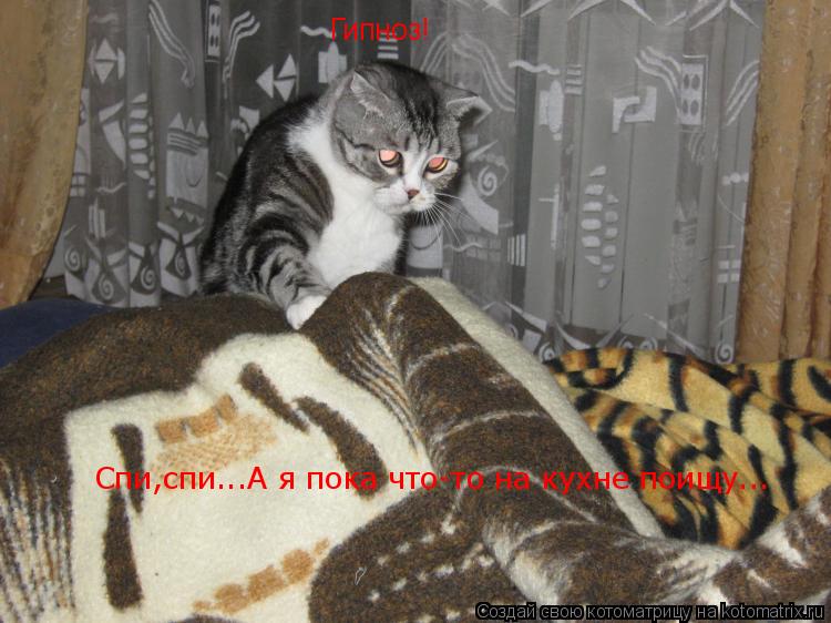 Котоматрица: Гипноз! Спи,спи...А я пока что-то на кухне поищу...