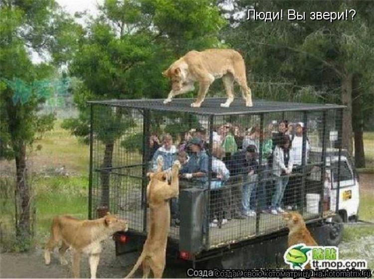 Котоматрица: Люди! Вы звери!?