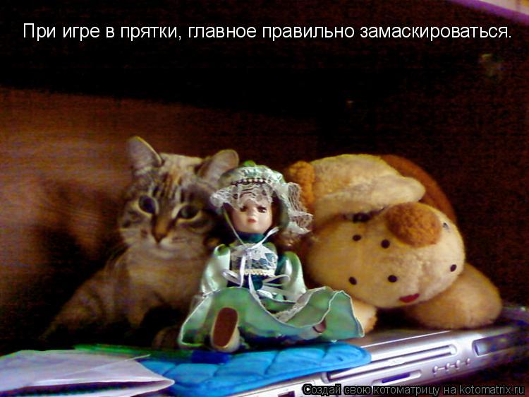 Котоматрица: При игре в прятки, главное правильно замаскироваться.