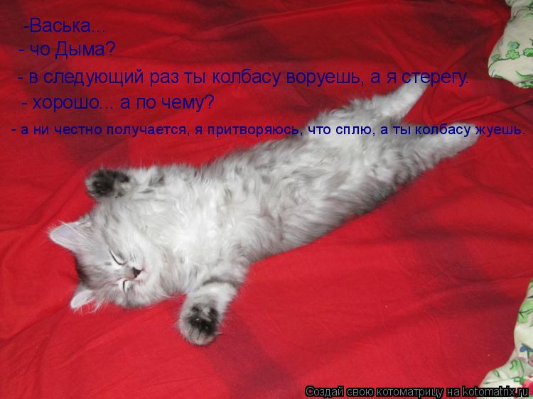 Котоматрица: -Васька... - чо Дыма? - в следующий раз ты колбасу воруешь, а я стерегу. - хорошо... а по чему? - а ни честно получается, я притворяюсь, что сплю, а т