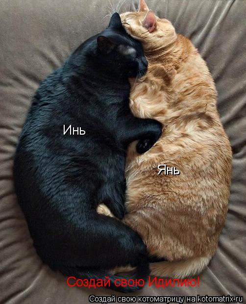 Котоматрица: Инь Янь Создай свою Идилию!