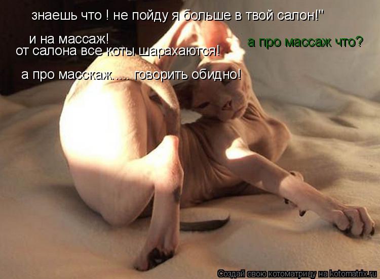 Котоматрица: знаешь что ! не пойду я больше в твой салон!" и на массаж! от салона все коты шарахаются! а про масскаж..... говорить обидно! а про массаж что?