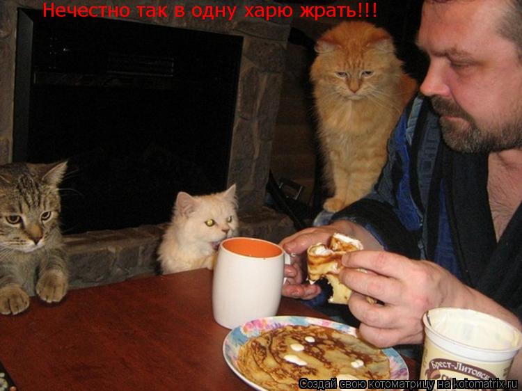 Котоматрица: Нечестно так в одну харю жрать!!!