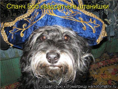 Котоматрица: Спанч Боб квадратные штанишки