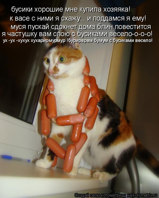 Котоматрица: бусики хорошие мне купила хозяяка!   к васе с ними я схажу... и поддамся я ему! муся пускай сдохнет дома блин повестится я частушку вам спою с б