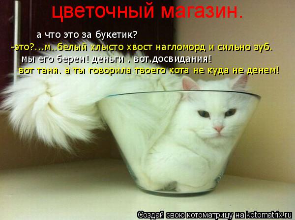 Котоматрица: цветочный магазин. а что это за букетик? -это?...м..белый хлысто хвост нагломорд и сильно зуб.  мы его берем! деньги . вот.досвидания! вот таня. а 